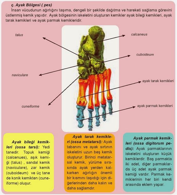 Ad:  k17.JPG
Gsterim: 992
Boyut:  74.8 KB