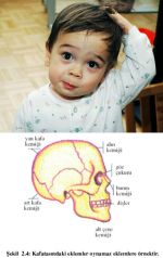 Ad:  kafas.jpg
Gsterim: 833
Boyut:  8.2 KB