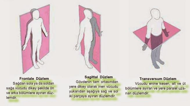 Ad:  dzlemler1.JPG
Gsterim: 6979
Boyut:  37.7 KB