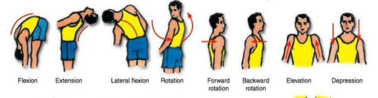 Ad:  hareket1.JPG
Gsterim: 5598
Boyut:  31.0 KB