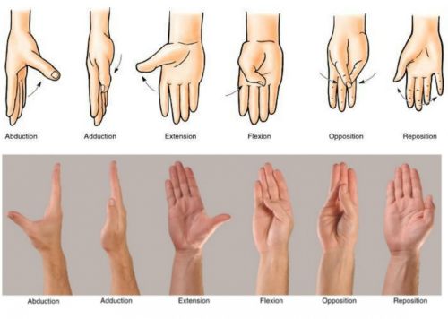 Ad:  hareket.jpg
Gsterim: 15257
Boyut:  24.1 KB