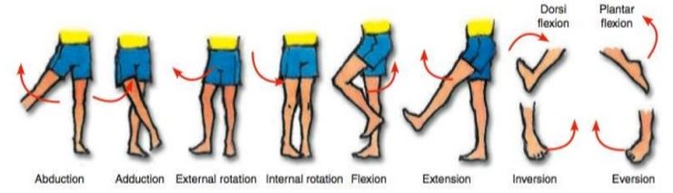 Ad:  hareket3.JPG
Gsterim: 6171
Boyut:  31.9 KB