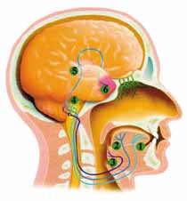 Ad:  t8.jpg
Gsterim: 12971
Boyut:  14.2 KB