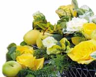 Ad:  t9.jpg
Gsterim: 12624
Boyut:  19.8 KB