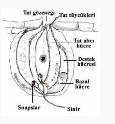 Ad:  t10.JPG
Gsterim: 12284
Boyut:  19.0 KB