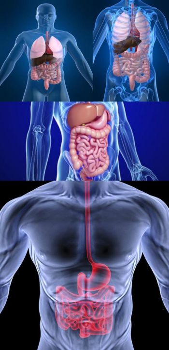 Ad:  gastro.jpg
Gsterim: 2031
Boyut:  44.0 KB