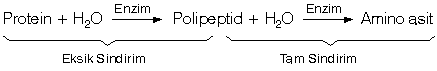 Ad: ss1.gif
Gösterim: 9716
Boyut: 1.1 KB Ad: ss1.gif
Gösterim: 9716
Boyut: 1.1 KB