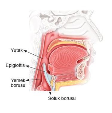 Ad:  sis4.JPG
Gsterim: 5359
Boyut:  22.8 KB