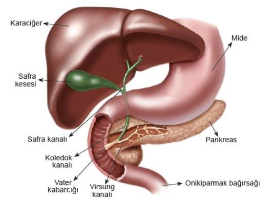 Ad:  sis5.JPG
Gsterim: 5345
Boyut:  33.8 KB