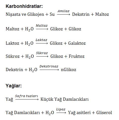 Ad:  sis9.JPG
Gsterim: 5640
Boyut:  38.9 KB