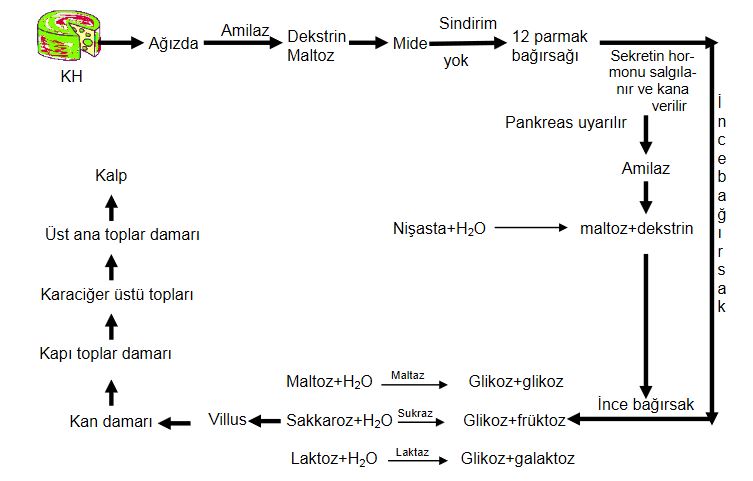 Ad:  khsin4.JPG
Gsterim: 2359
Boyut:  51.3 KB
