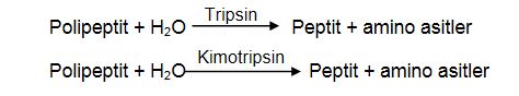 Ad:  pr.sin2.JPG
Gsterim: 1503
Boyut:  16.8 KB