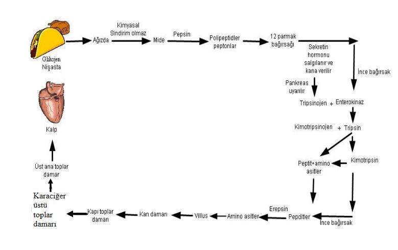 Ad:  pr.sin4.JPG
Gsterim: 1762
Boyut:  39.1 KB