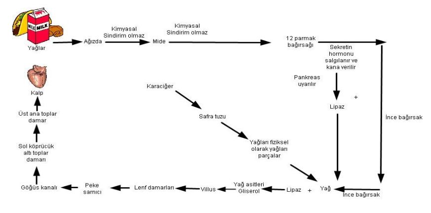 Ad:  ya.sin2.JPG
Gsterim: 1653
Boyut:  38.5 KB