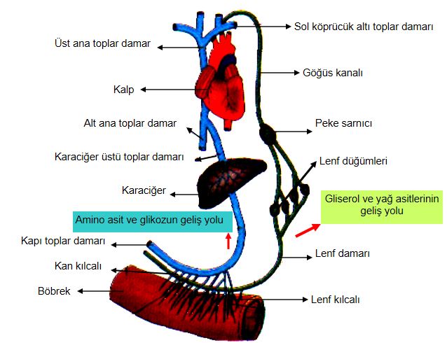 Ad:  sin.JPG
Gsterim: 2938
Boyut:  55.8 KB