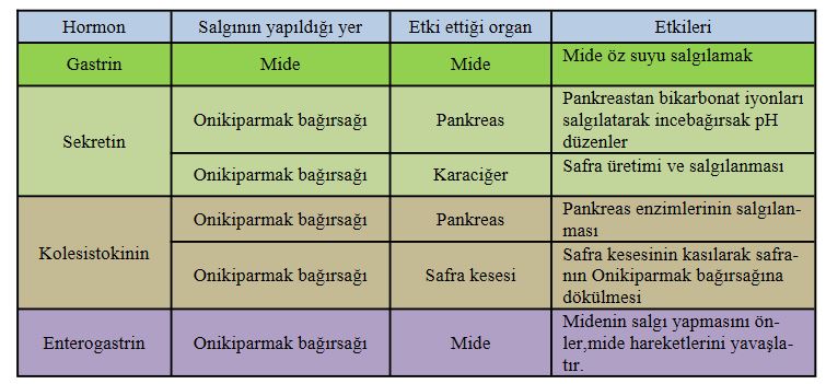 Ad:  sin1.JPG
Gsterim: 3736
Boyut:  66.2 KB