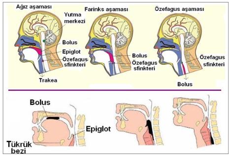 Ad: azdasindirim.JPG
Gösterim: 3829
Boyut: 40.1 KB