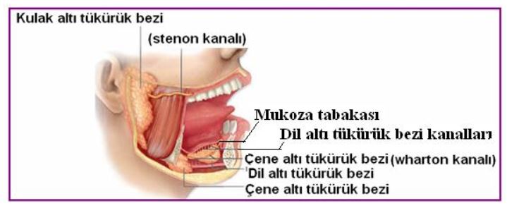 Ad:  bezleri.JPG
Gsterim: 5611
Boyut:  37.0 KB