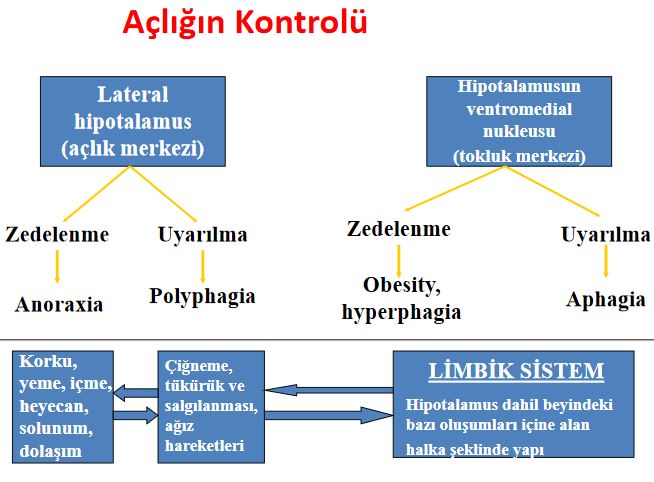 Ad:  alk.JPG
Gsterim: 1662
Boyut:  58.0 KB