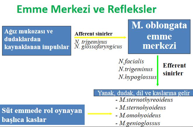 Ad:  emme merkez.JPG
Gsterim: 1430
Boyut:  59.0 KB