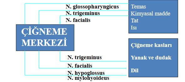 Ad:  ineme1.JPG
Gsterim: 1532
Boyut:  34.5 KB