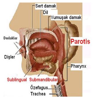 Ad:  tkrk.b.JPG
Gsterim: 4447
Boyut:  29.0 KB