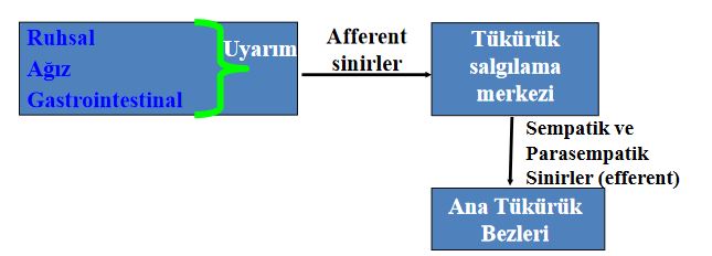 Ad:  tb1.JPG
Gsterim: 2000
Boyut:  27.0 KB