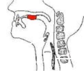 Ad: ağız7.JPG
Gösterim: 3258
Boyut: 15.9 KB