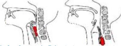 Ad: yemekborusu.JPG
Gösterim: 5498
Boyut: 16.8 KB