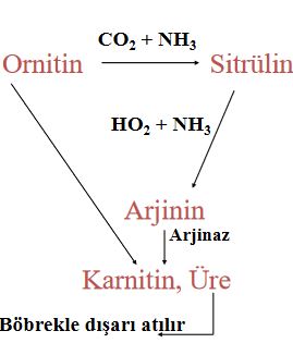 Ad:  karacier3.JPG
Gsterim: 4267
Boyut:  19.2 KB