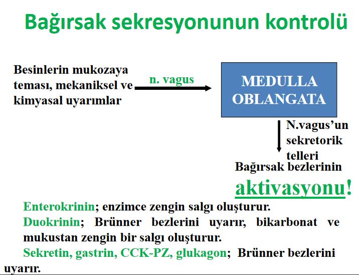 Ad:  barsak.JPG
Gsterim: 564
Boyut:  73.4 KB