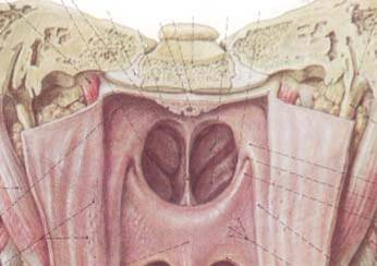 Ad:  grtlak2.jpg
Gsterim: 1707
Boyut:  14.0 KB