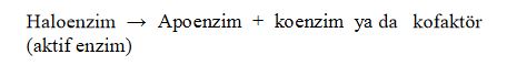 48452d1462217573 enzim nedir enzimler hakkinda e1 - 48452d1462217573 enzim nedir enzimler hakkinda e1
