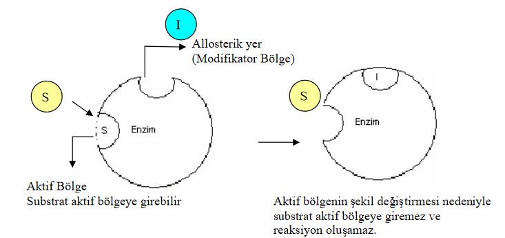 Ad: e9.JPG
Gösterim: 2218
Boyut: 36.0 KB