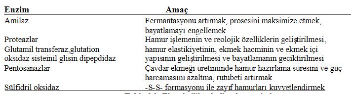48462d1462220384 enzim nedir enzimler hakkinda e11 - 48462d1462220384 enzim nedir enzimler hakkinda e11