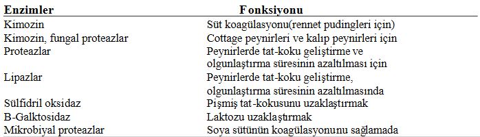 48463d1462220384 enzim nedir enzimler hakkinda e12 - 48463d1462220384 enzim nedir enzimler hakkinda e12