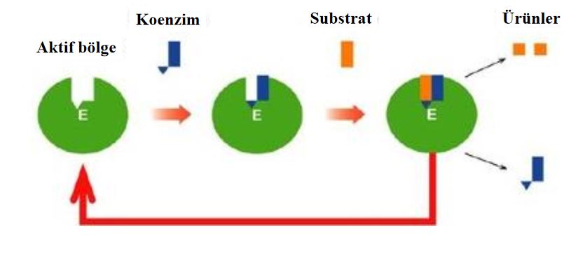 Ad:  e4.JPG
Gsterim: 8278
Boyut:  29.9 KB