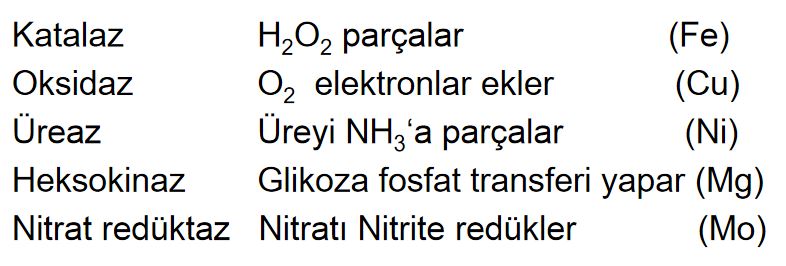 Ad: e5.JPG
Gösterim: 1029
Boyut: 46.6 KB