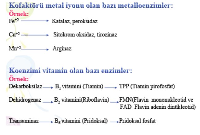 Ad: e2.JPG
Gösterim: 1365
Boyut: 41.2 KB