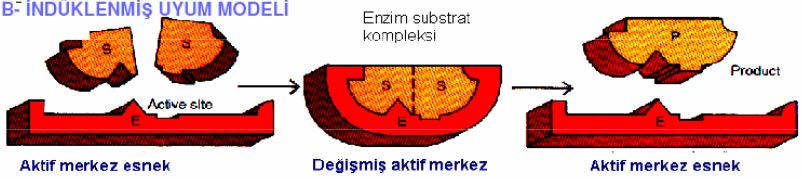 Ad: e10.JPG
Gösterim: 1149
Boyut: 42.3 KB