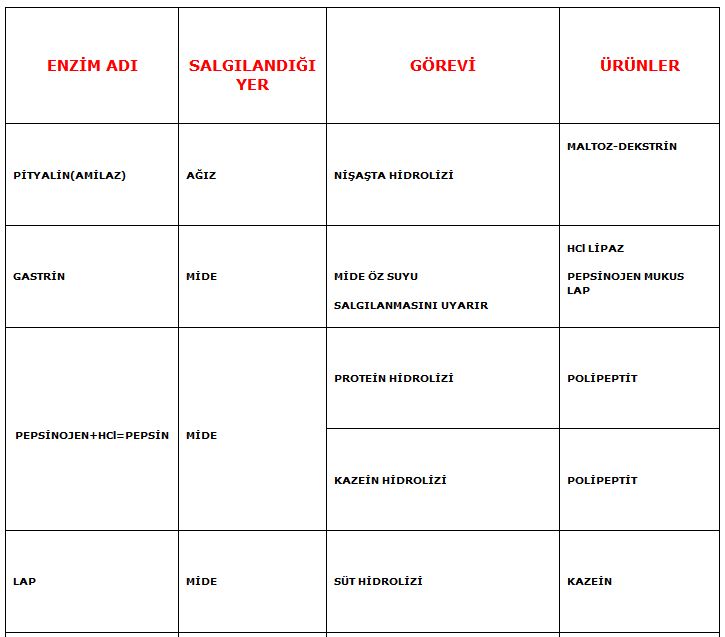 Ad:  enzim1.JPG
Gsterim: 9289
Boyut:  51.3 KB