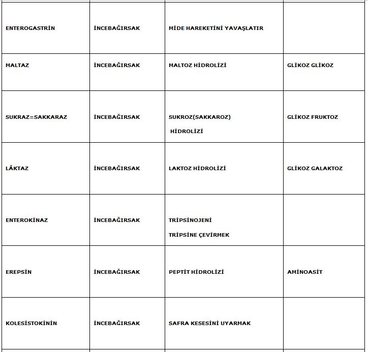 Ad: enzim2.JPG
Gösterim: 1098
Boyut: 59.2 KB
