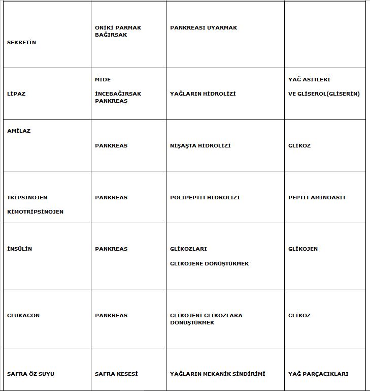 Ad: enzim3.JPG
Gösterim: 985
Boyut: 62.4 KB