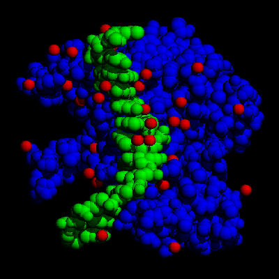 Ad: enzstruk.gif
Gösterim: 11488
Boyut: 47.9 KB