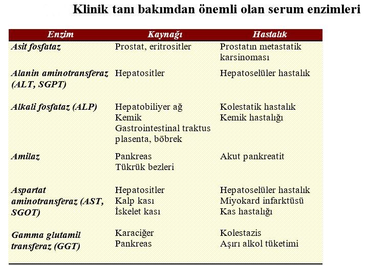 Ad: enz1.JPG
Gösterim: 16377
Boyut: 97.8 KB Ad: enz1.JPG
Gösterim: 16377
Boyut: 97.8 KB