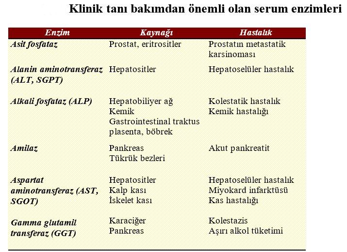 Ad:  enz1.JPG
Gsterim: 16102
Boyut:  97.8 KB