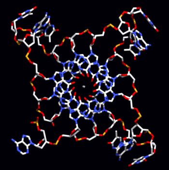 Ad: telomeraz1.jpg
Gösterim: 959
Boyut: 23.6 KB