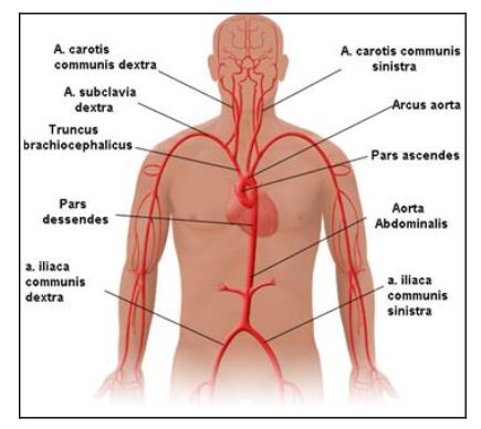Ad:  damar4.JPG
Gsterim: 16033
Boyut:  32.3 KB