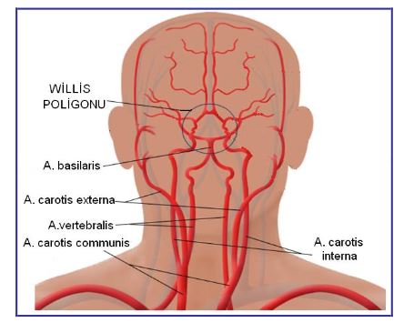Ad:  damar7.JPG
Gsterim: 11879
Boyut:  31.3 KB