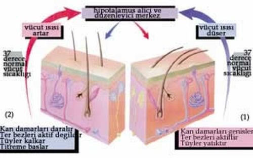 Ad: d2.jpg
Gösterim: 4031
Boyut: 24.8 KB